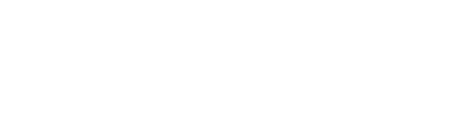 Laivo GmbH